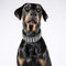 Bestia Echtleder Hundehalsband mit Schraubspitzen und Leder Innenpolsterung. 6,5 cm breit. Passfit. Größen M, L, XL, XXL. 42,5 bis 75 cm Halsumfang