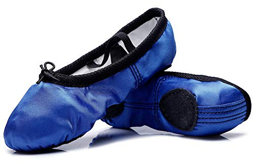 MSMAX Boys Ballet Shoes Little Kid Costume Dancing Flats Loyal Blue 10.5 M US Toddler