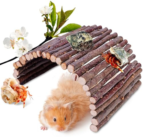 Hermit Crab Hideout & Climbing Toys - Large Size Reptile Climbing Decor for Small or Medium Hermit Crab Habitat (Crabs Climb Bridges)