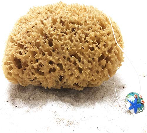 tom&pat Naturschwamm mit Kordel & Glasanhänger - Dermatest: Sehr gut, ungebleichter Badeschwamm Duschschwamm Körper, Peeling Schwamm aus Griechenland, Premiumqualität (13-14 cm)