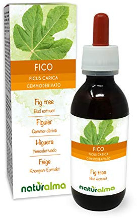 Fig Tree (Ficus carica) Alcohol-Free Bud Extract from Fresh Buds Naturalma - Liquid Drops 120 ml - Food Supplement - Vegan