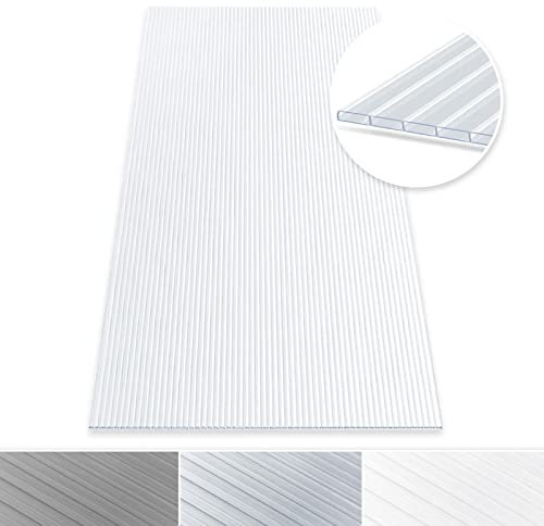 Floordirekt | Plaque alvéolaire à Double paroi en Polycarbonate - Ideal pour Jardin, Serre et modélisme - Résistant aux intempéries et translucide - 60,5 x 121 cm | Connecteur, 16 mm | Transparent