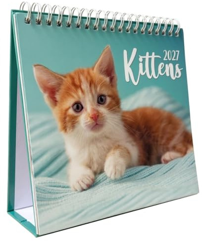 PaulStore 2027 Desktop Calendar – Month-to-View Flip Over Square Planner for Home, Office, and School Desk Organizer (7itten)