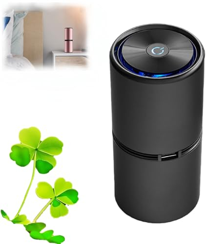 Labcharge - Purificador de aire iónico para el hogar y el automóvil, sin filtro, silencioso, 27 dB, 12 millones de iones negativos, portátil (negro)