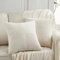 FDTERN 2er Set Creme Beige Kordsamt Kissenbezug 35x35 Weich Moderne Dekorative Kissenbezüge Kissenhülle Dekokissenbezug Sofakissen Dekokissen Boho Herbst Deko für Sofa Schlafzimmer Wohnzimmer Balkon
