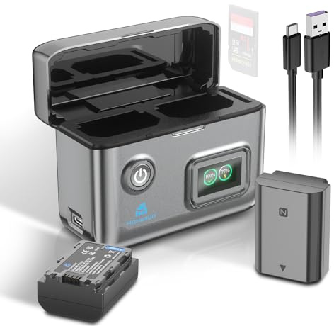 Homesuit NP-FZ100 Akku 2600mAh mit Typ-C LCD Ladegerät für Sony ZV-E1, FX30, A7RIII, A7RV, A7SIII, A7III, A7IV, A7C, A7CII, A6600, A6700, Alpha A1, A9, A9S, A9II, A9III, 9R, A9R, 9S (2er-Pack)