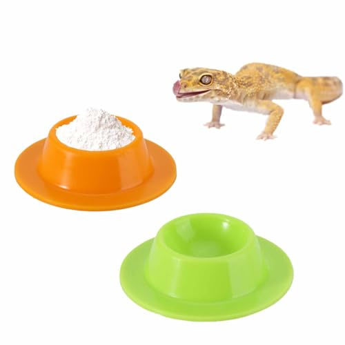 Lot de 2 bols à gecko en calcium – Bol de nourriture et d'eau pour geckos léopard, petits reptiles