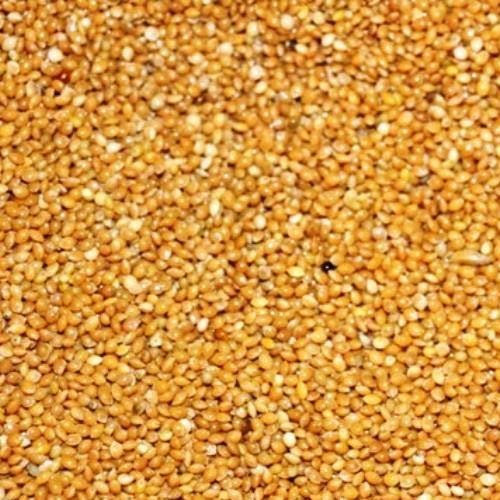 Eurital Hirse Gelb 5 Kg für Wellensittiche Großsittiche und Tauben