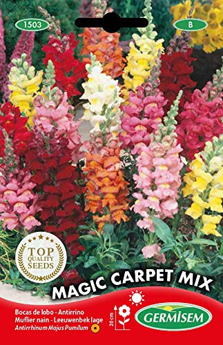 Germisem Magic Carpet Mix Semillas de Snapdragon 0.8 g