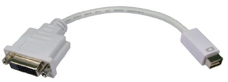 Mini-DVI Mâle vers DVI 24+1 Femelle Adaptateur câble Blanc 13 cm