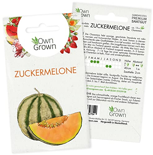 Zuckermelone Samen: Premium Melonen Samen für 15 Zuckermelonen Pflanzen – Melonensamen der süßen Sorte Charentais – Charentais Melone Samen, Saatgut Melone, Obst Samen – Zuckermelonen Samen OwnGrown