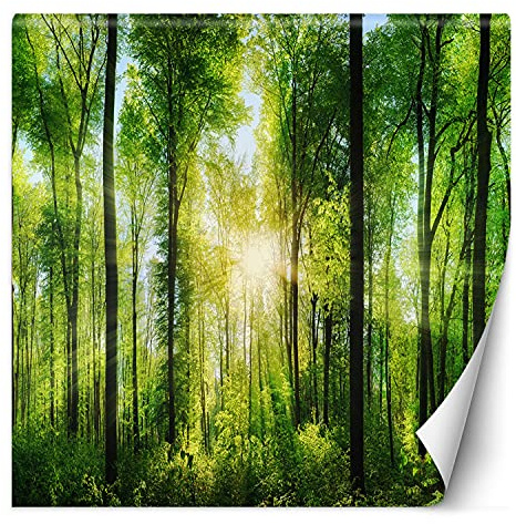 Feeby Fototapet Skog Solstråle 200x200 cm Grön Modern Fleece Vägg Tapet Spa Restaurant Hotel Kontor Kök Hall Sovrum Vardagsrum Träd Växter Natur