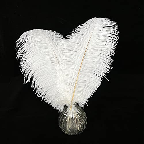 Happy Feather 10 pcs Ostrich Feathers Centerpiece 14-16 inch for Wedding Home Party Decoration, DIY Craft-White
