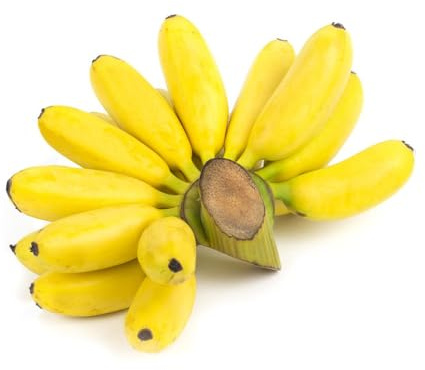 300 piezas semillas resistentes de la de banano - semillas plátano, exóticas columnar banano plátano resistente, exóticas