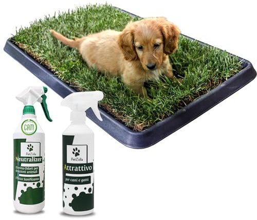 Pack 4 - S - PetZolla: Prato Vero con Vassoio 60×40 cm, Spray Neutralizzatore e Attrattivo – Cuccia per cane. Lettiera Naturale per Cani. Alternativa Ecologica a Traversine e Tappetini per Pipì