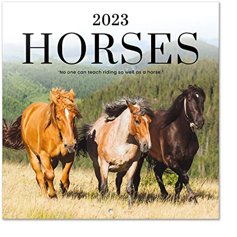 Grupo Erik Horses Wall Calendar 2023 12' x 12' FSC| 12 Month Planner | Square Wall Calendar 2023 | Family Planner Calendar 2023 | Horse Calendar 2023 | + 4 Bonus Months