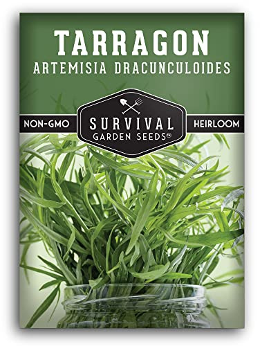 Russian Tarragon Seeds for Planting - Plant & Grow Big Flowering Herbs in Your Home Vegetable Garden - Non-GMO Heirloom Variety - Survival Garden Seeds (1 Pack)