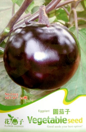 Graines D'Aubergine Délicieux Légume Pot Rond Sain Bio Par Mikedaoer Paquet De 100 Graines