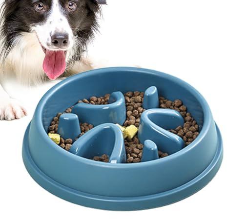 Gamelles pour Chien à Alimentation Lente Petite Race, Gamelles pour Chien à | Bol d'alimentation lente anti-avalement pour