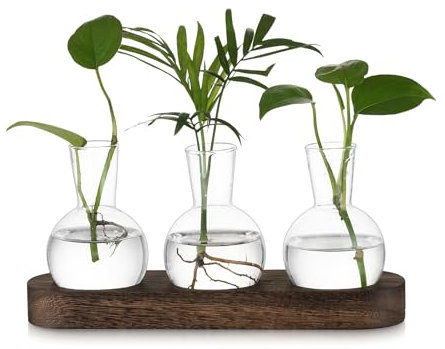 Petit Vase Fleur Vase Transparent: Hewory Terrarium Plante Hydroponie Vase en Verre avec Marron Plateau en Bois - 3pces Soliflore en Verre Terrarium Vegetal pour Centre de Table Decoration Interieur