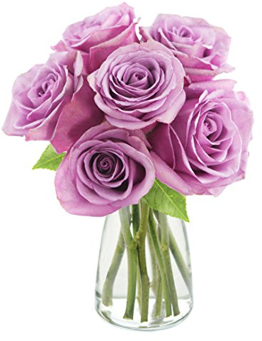 KaBloom PRIME NEXT DAY DELIVERY - Bouquet of 6 Fresh cut Purple Roses with Vase .Gift for Birthday, Sympathy, Anniversary, Get Well, Thank You, Valentine, Mother’s Day Fresh Flowers