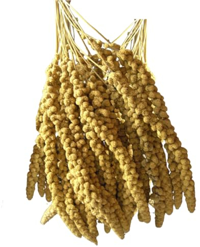 Dovita Vital gelbe Kolbenhirse (3 kg)