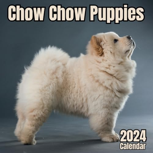 Chow Chow Puppies Calendar 2024: 14 Months Organizer From November 2023 to December 2024 , for Men, Women, Girls, and Boys who love Dogs