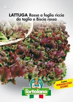 Sementi orticole di qualità l'ortolano in busta termosaldata (160 varietà) (LATTUGA ROSSA A FOGLIA RICCIA DA TAGLIO O BISCIA ROSSA)