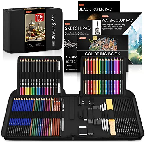 116 Pack Sketching and Drawing Pencils Set, Shuttle Art Sketch Pencil Set with 4 Pads, Graphite in Zipper Case, Colouring for Artist Sketching, Adults, Beginner (SA SS116)
