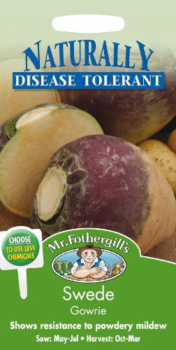 Mr Fothergills - Pictorial Packet - Vegetable - Swede Gowrie - 500 Seeds