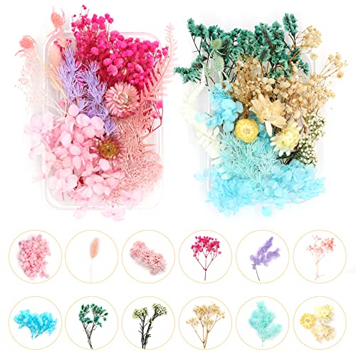 2 BoxenTrockenblumen Gepresste Blumen Gemischte Natürliche Getrocknete Blumen Blau Mini Trockenblumen Bunt Blumen für Epoxidharz Anzug für Kunst Basteln DIY Harz Scrapbooking Karten Machen Deko