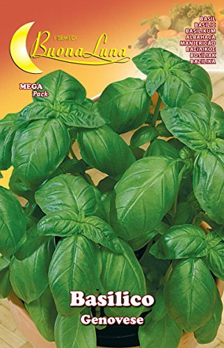 HORTUS SEMENTI SEMI ORTO BASILICO GENOVESE 10 PZ