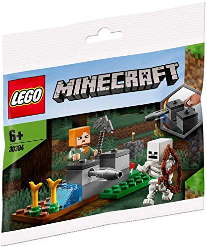 LEGO Minecraft 30394 Das Defense Skelett