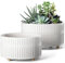 LE TAUCI Sukkulenten Topf, 16,5+20 cm Keramik Blumentopf für den Innenbereich mit Entwässerungslöchern, Moderner Zylindrischer Dekorativer Blumentopf, Geschenke für Mama, 2er-Set, Weiß