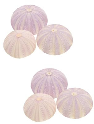 CIYODO 6 Pièces Petit Support De Plantation Coquilles D'oursin Coquille D'oursin Naturel Décoration D'aquarium De Poissons Plage De Coquille D'oursin Ornement De Coquille De Bureau Gamin