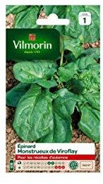 Vilmorin - Sachet graines Epinard monstrueux de Viroflay