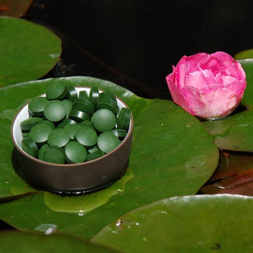 Chlorella pyrenoidosa Tabletten – Premiumqualität 1kg zu je 250mg