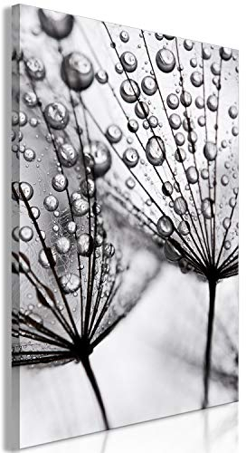 murando - Leinwand Bilder Pusteblume 40x60 cm Vlies Leinwandbild 1 TLG Kunstdruck modern Wandbilder XXL Groß Wohnzimmer Wanddekoration Design Wandbild Wand Bild - Natur grau b-B-0353-b-a