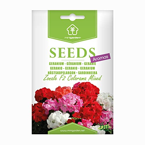 Géranium zonale F2 Colorama Mixed, Graines prêt à Pousser Minigarden, 100% Naturelles sans Propagateurs Chimiques ni Génie Génétique, inclut entre 10 et 15 graines