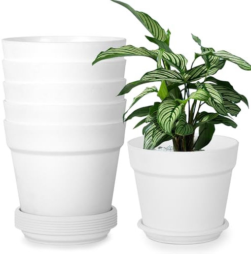 Solvant 6 Vasi per Piante da Esterno, Vaso Con Fori di Scarico e Vassoio，Adatti A Ufficio E All'Aperto, Balcone, Vasi Per Piante In Coltivazione, Erbe, Orchidee (Bianco, 20 cm)