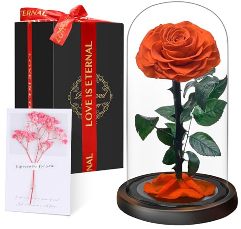 Eternal Forever Rose in Glass Dome | Fresh Rose Gift | Flower Preserved for 5 Years | Handcrafted | Beauty and the Beast Romantic Gifts for Women | Anniversary, Christmas valentine’s day, Orange
