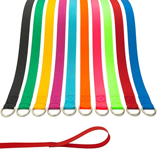 ATICNECH Slip Lead Dog Leash - 10 pcs Colorful 6 FT Short Dog Leashes with O-Ring for Small Large Dogs Puppy Cats Walking Training Running Rescues Grooming Shelter,etc.