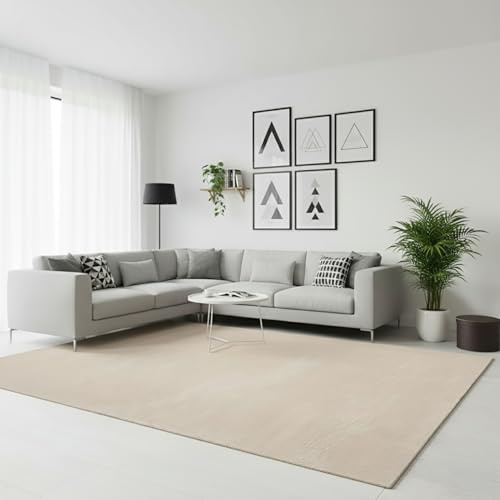RUGURA Alfombra de Salón Dormitorio Habitación Comedor Pelo Corto y Suave 150x220cm Beige Unicolor Moderna Nordica Lavable Antideslizante