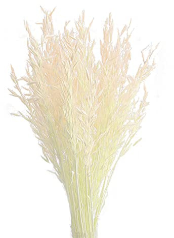 INIFLM Lot de 50 fleurs séchées naturelles, flocons d'avoine séchés pour cheminée, maison, cuisine, église, table de mariage, décoration d'intérieur (40-45 cm)