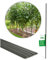 Novatool 20 Stück Pflanzstäbe 90cm grün 11mm Metallrohr kunststoffummantelt Rankstäbe für Pflanzen Rankhilfe Gurken Tomatenstäbe für Kletterpflanzen Blumenhalter Rankstab Pflanzstab 90 cm