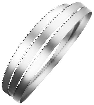 SLOYCA Hojas de Sierra de Cinta de 1650 mm for Cortar Huesos, Pescado congelado y Carne.1200 1670 1750 1830 1980 2240 2360 2560mm Hojas de Sierra con Ancho 16, 19mm(Length 1650mm)