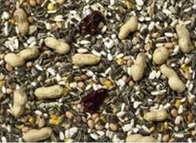 Premium No.1 Parrot Food LARGE BAG 12.5kg - Johnston & Jeff