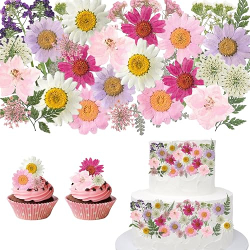 CENCERY 40 st Torkade Blommor Naturliga Rosa, för Tårtdekoration, Cupcake-Toppar, Cocktailgarnityr, Matdekoration, Bröllop, Födelsedag & Fester (Rosa)