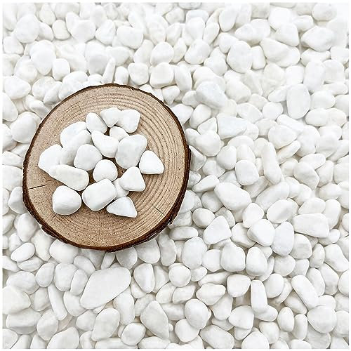 BXI 2.2 Lbs Small Aquarium Substrate Gravel Sand, Polished Smooth Fish Tank Gravel, Colorfast Uncoated White Natural Pebbles, Decorative Stones for Vase Fillers, Fairy Garden, Potted Plants