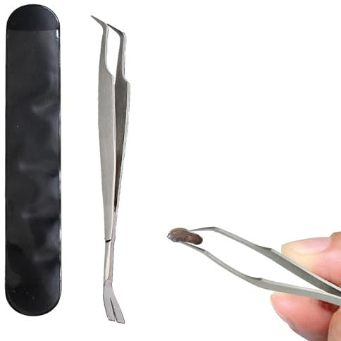 Strumento per rimuovere le zecche, pinza professionale per rimuovere le zecche, clip portatile per pidocchi, pinzette per rimuovere le zecche, in acciaio inox, con scatola portaoggetti, per rimuovere
